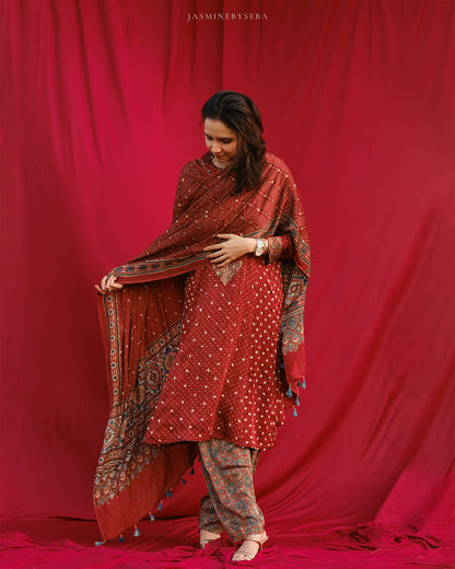Ajrakh hand dyed hand block printed modal silk panel cut salwar set with cut bead handwork